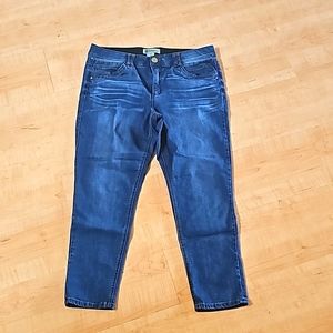 Democracy "Ab" technology Skinny Jeans (14)